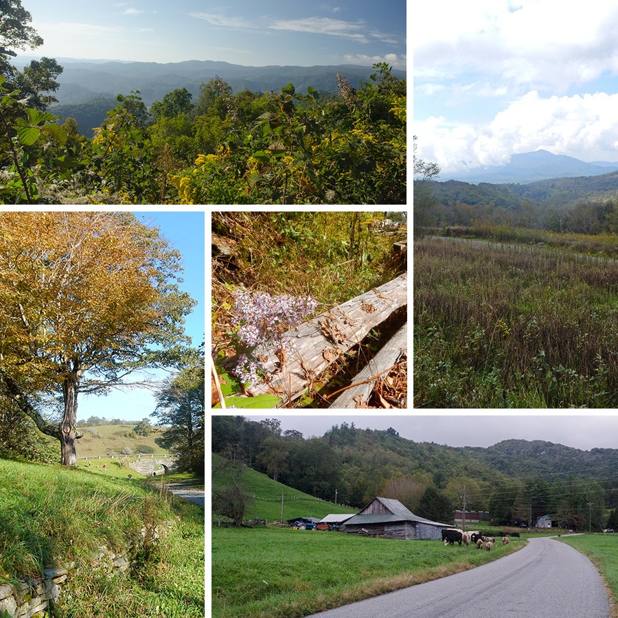 Boone-Valle Crucis Week 3